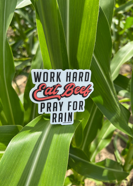 WORK HARD EAT BEEF PRAY FOR RAIN Sticker Decal
