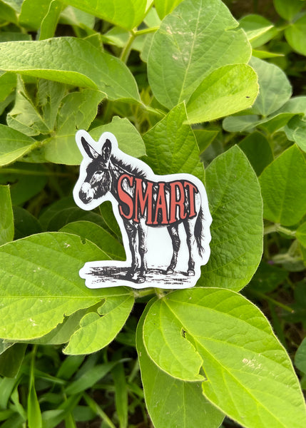SMART A$$ Sticker Decal